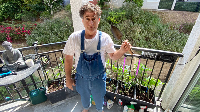 Balcony Farming