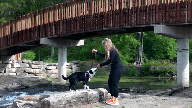 A black and brown dog with a leash stands with its owner under a bridge next to a creek.