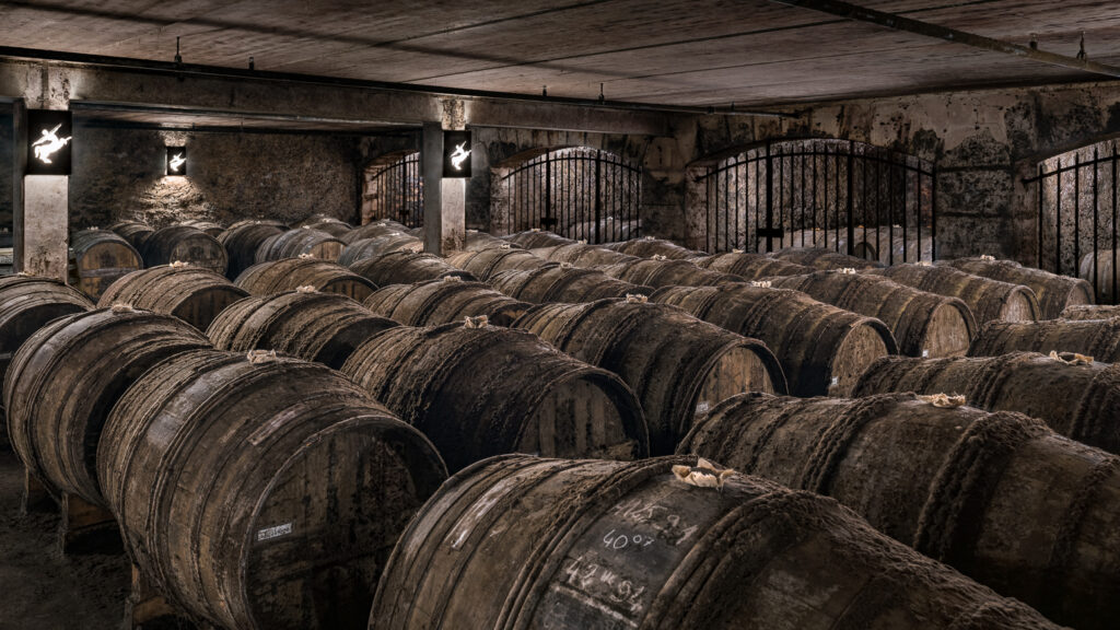 Photograph of Remy Martin Louis XIII aging cellar Chai André Hériard Dubreuil Cellar in Merpins France by Las Vegas artist and photographer Mario Basner.