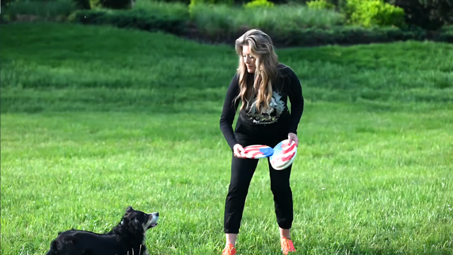 A black and white dog with its female owner playing in a yard of lush green grass.