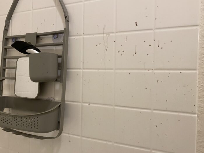 Splattered hair dye on beige tiles in the author's shower next to a hanging toiletry shelf.
