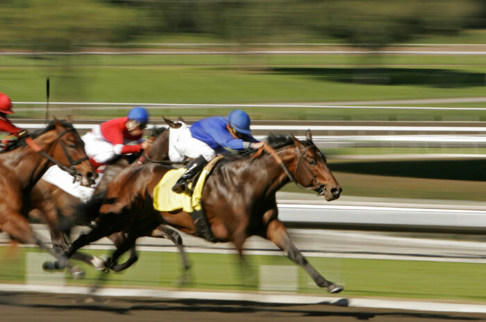 Three racehorses and jockeys sprint down the track, captured in a blur of speed and intensity during a competitive race.