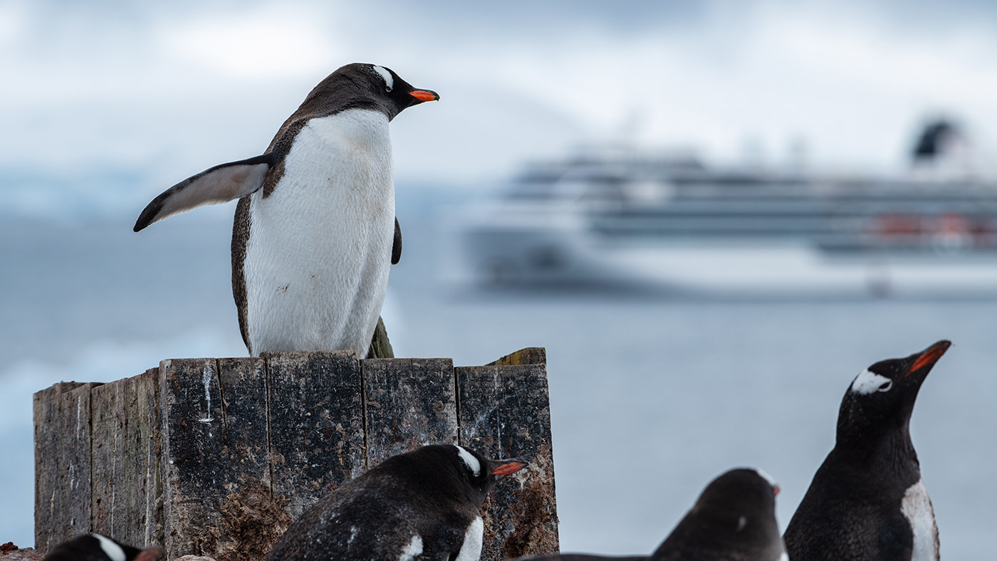 Ghost Outposts of Antarctica