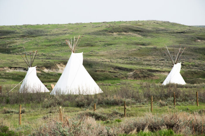 Open prairie landscape of Saskatchewan with three white tipis set among rolling green hills and tall grass, creating a peaceful scene that reflects Indigenous culture, nature, and wide-open plains.