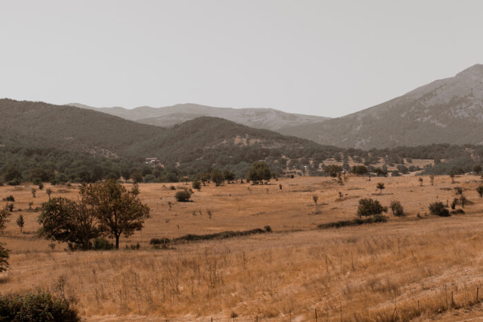 Rolling dry grassland dotted with scattered trees stretches toward low, forested hills and distant mountains under a hazy sky.
