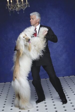 John O'Hurley playfully dances with a large Afghan Hound in a studio setting with a deep blue backdrop.