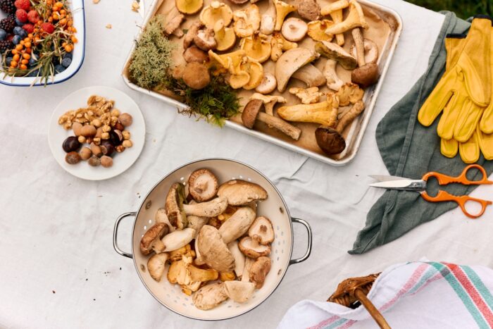 An overhead view of a forager’s harvest arranged on a white tablecloth outdoors. A colander and baking tray hold an assortment of wild mushrooms, including chanterelles and boletes, alongside bowls of berries, nuts, and chestnuts. Gardening gloves, scissors, moss, and a woven basket complete the scene, highlighting the tools and ingredients of seasonal foraging.