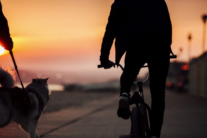 Silhouetted against a vibrant sunset, a cyclist rides along a waterfront path while a dog walks beside another person on a leash. Warm shades of orange, pink and gold fill the sky as the sun dips below the horizon, casting the figures into shadow. The peaceful scene captures a sense of freedom, companionship and outdoor adventure at the close of day.