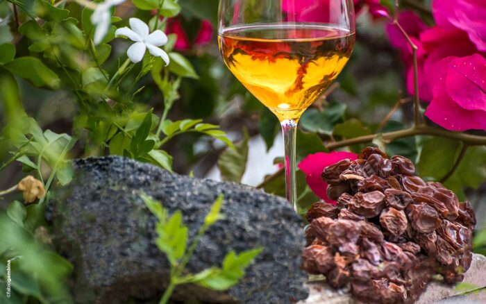 A glass of golden dessert wine sits among vibrant pink bougainvillea blossoms and lush greenery, with a cluster of sun-dried grapes resting beside it. The scene evokes the Mediterranean landscape of Pantelleria, highlighting the connection between the island’s dried-grape winemaking tradition and its natural beauty.