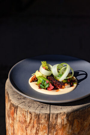 Campfire's charred octopus is artfully plated on a matte charcoal-gray dish over a smooth, creamy purée, topped with curled ribbons of celery, fresh herbs, and citrus segments. The dramatic presentation sits atop a rustic tree stump against a black background, with directional light highlighting the vibrant colors and textures.