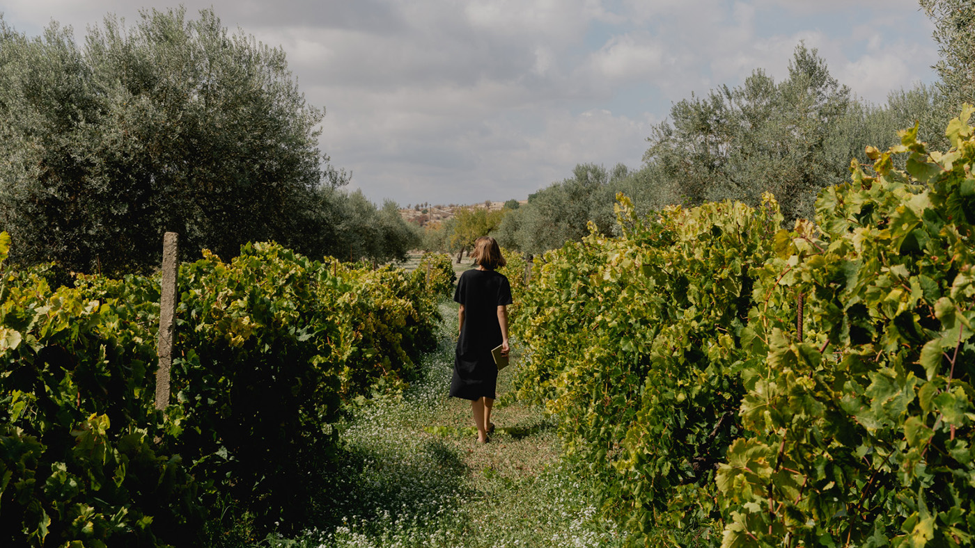Art, Wine & Horses: Legacy Families Still Store Wealth in Cultural Assets