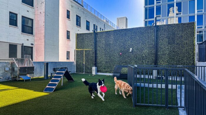 AI-generated image of two dogs playing in an urban outdoor dog park with artificial turf, agility equipment and fenced play areas.
